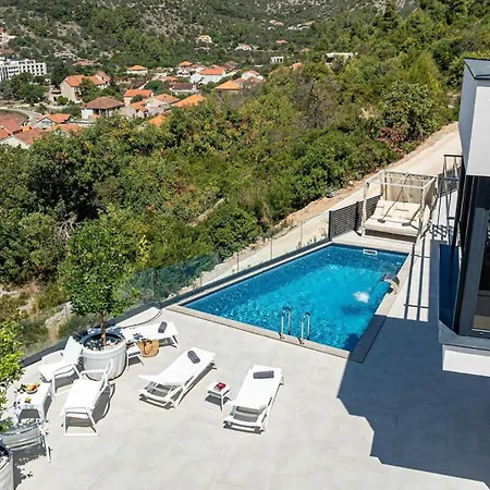 View Of The *